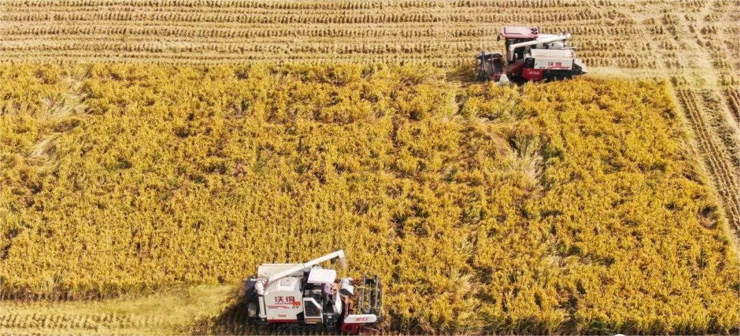 631ff98c-12e8-40a8-852f-c4897935cd0b.png 631ff98c-12e8-40a8-852f-c4897935cd0b.png